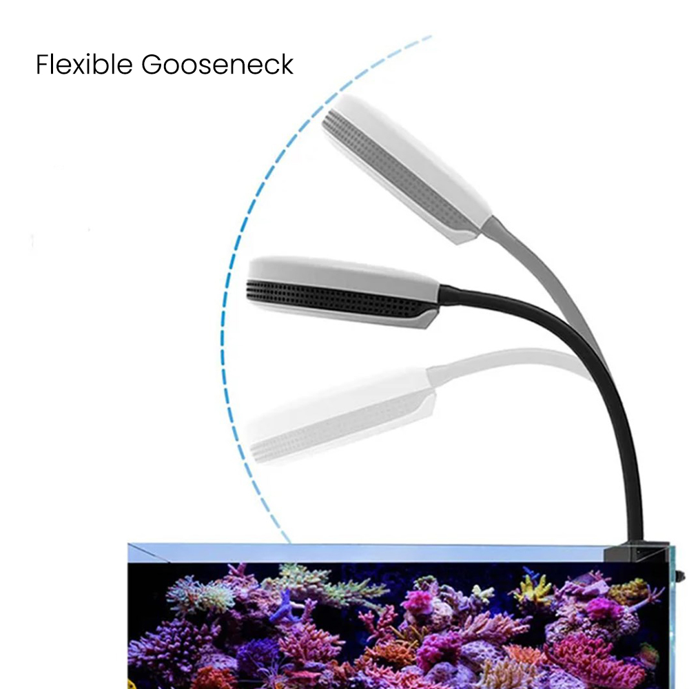 Spectra SP20 20W Aquarium LED  - Aquarium Marine Lights 评论和价格