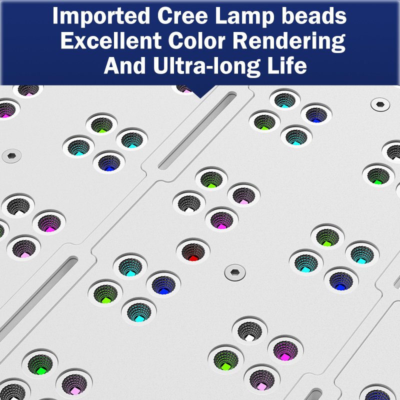 Hot KASSRAY T169/T215 CREEs LE - Aquarium Marine Lights 评论和价格
