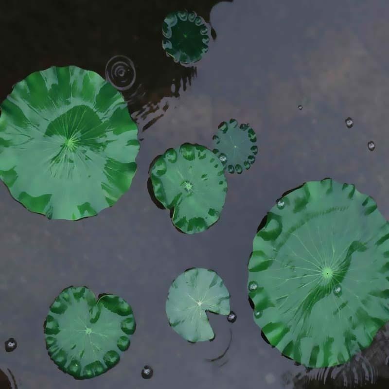 2026 Artificial Water Lily Lot - Marine Fish Tank 评论和价格