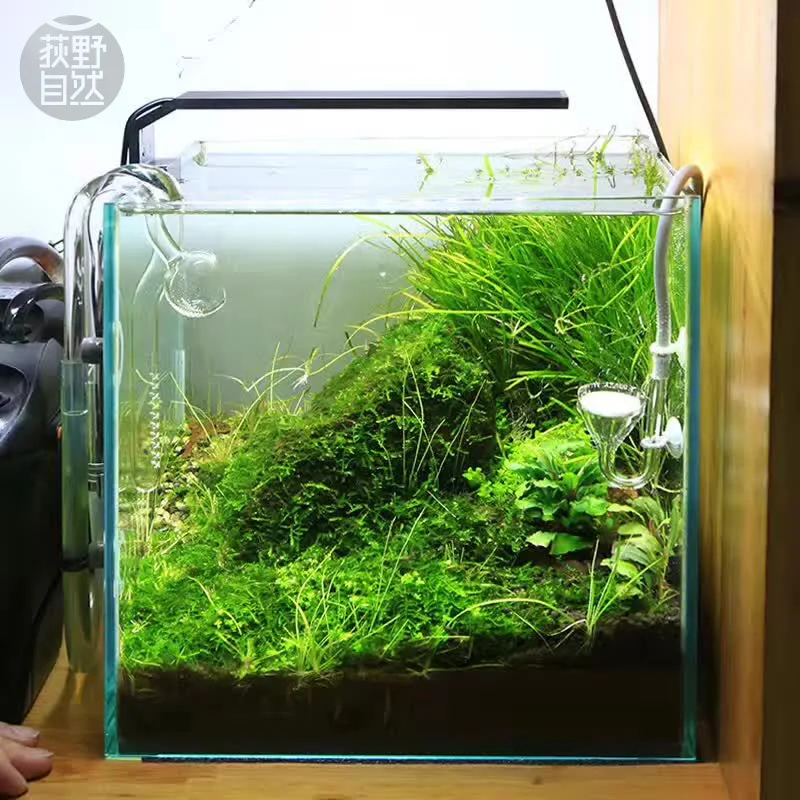 Chihiros C Series ADA Style Pl - Aquarium Marine Lights 评论和价格
