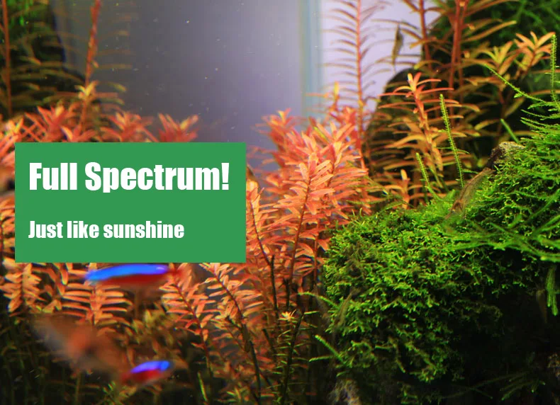 Chihiros C Series ADA Style Pl - Aquarium Marine Lights 评论和价格