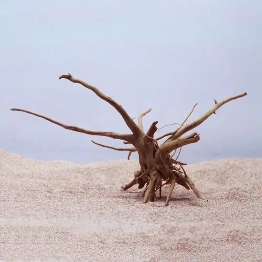 15-20CM Natural Driftwood Aqua - Ocean Aquarium 评论和价格