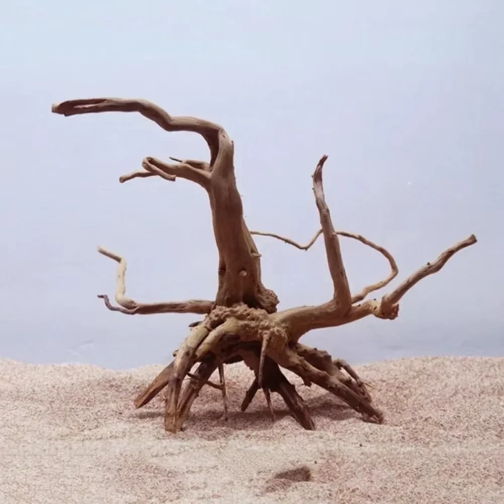 15-20CM Natural Driftwood Aqua - Ocean Aquarium 评论和价格